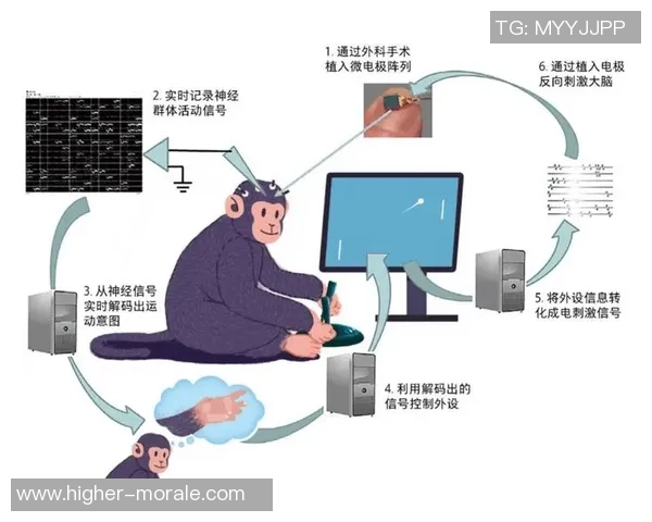 脑机接口电竞新纪元:用思维直接操控游戏世界的未来探索 脑机接口电竞新纪元:用思维直接操控游戏世界的未来探索